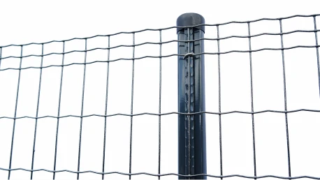 Zvárané pletivo v rolkách.webp